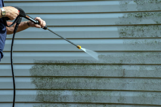 Best Pressure Washing Company Near Me  in Lake Fenton, MI