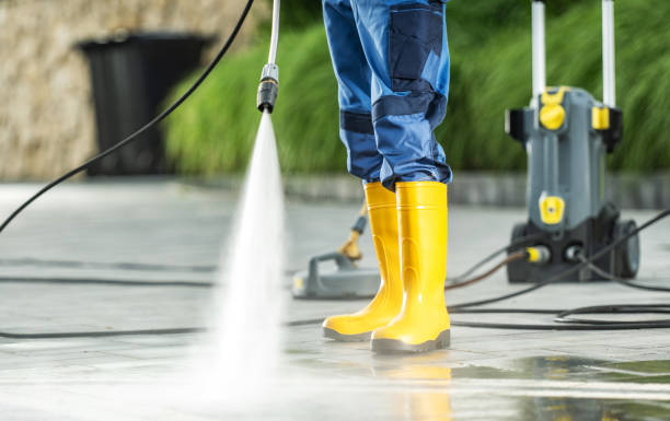 Best Local Pressure Washing Services  in Lake Fenton, MI