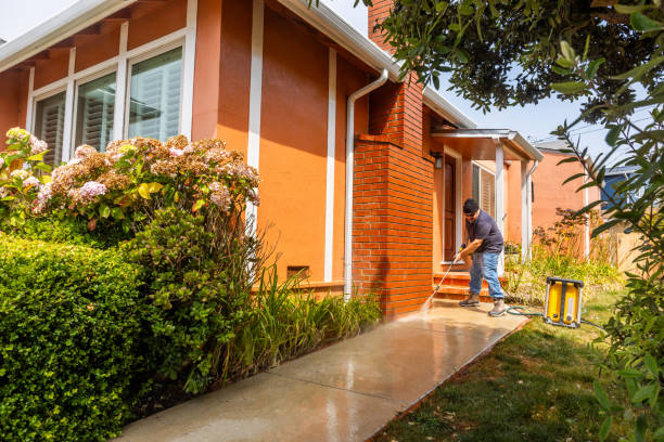 Best Sidewalk Pressure Washing  in Lake Fenton, MI