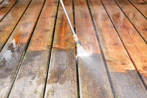 Best Pressure Washing Patio  in Lake Fenton, MI