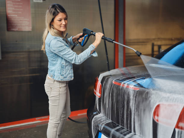 Best Power Washing Near Me  in Lake Fenton, MI