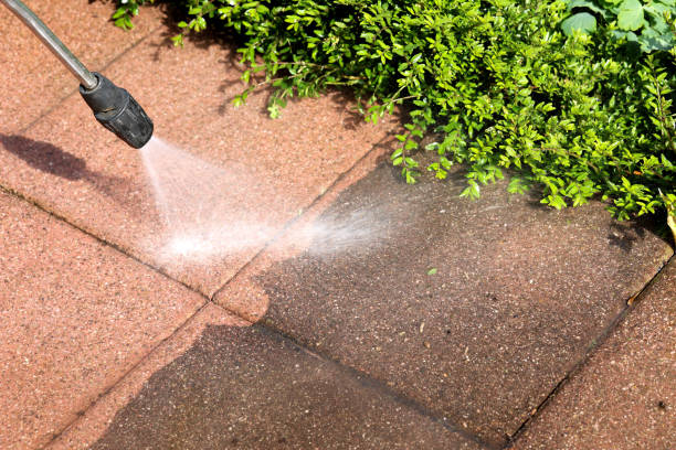 Best Affordable Pressure Washing  in Lake Fenton, MI